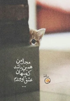 تو مردمک چشم من مهجوری