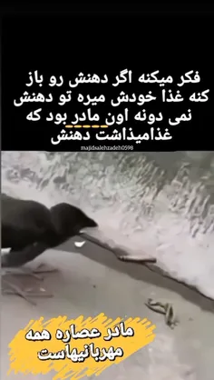 عصاره همه مهربانیها را گرفتند و از آن مادر ساختند. 
