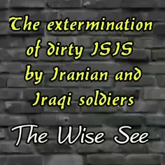 The extermination dirty ISIS by Iranian and Iraqi soldier