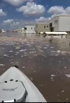 به بزرگترین مرداب طبیعی جهان در شهر دبی خوش آمدید 😁😁