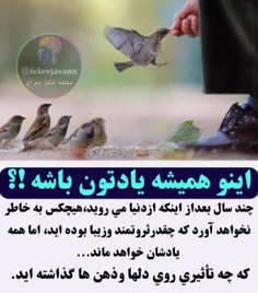 شعر و ادبیات ostorhe 25016402