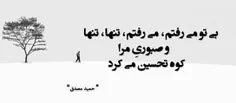 عاشقانه ها ali1122 25132570