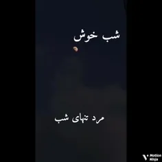 مرد تنهای شب @ شبتان خوش زیبا و پر خاطره 