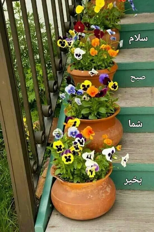 سلام.صبحتون بخیر و شادی