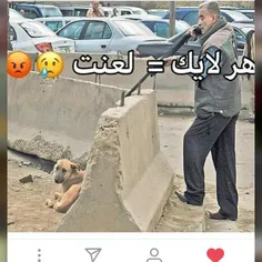 فالو=لعنت