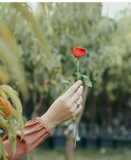 گاه گاهی که دلم میگیرد به خودم می گویم: