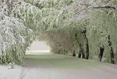 زیبایی جاده برفی