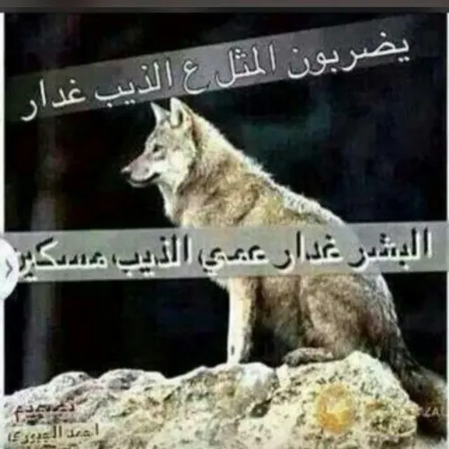 صدگ والله