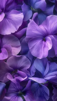 تصاویر پس زمینه my_heart_beats_for_u 74240057