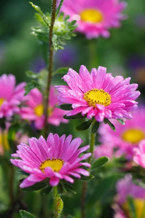 که گر چه رنج به جان می رسد