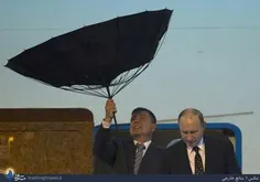 اینم چتر چینی