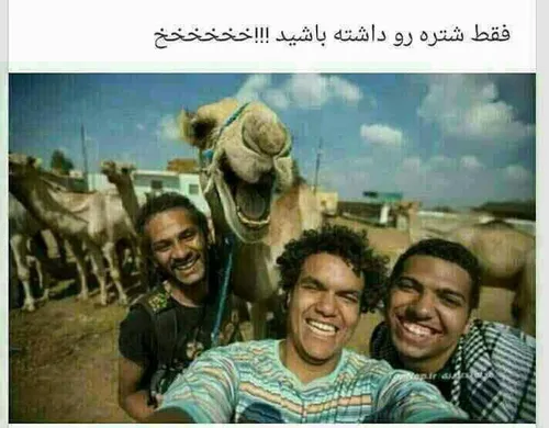 لبخند شتر خخخ