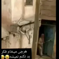 شکارچی لحظه ها چی گرفته