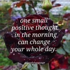 ☀ ️ یک تفکر کوچک مثبت در صبح، می تواند تمام روز شما را تغ