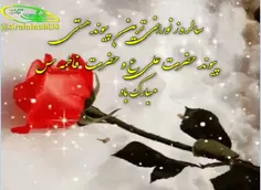 🕊 🌹 دیدم که به عرش شور و شوقی بر پاست 