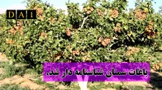 باغات استان سمنان “شناسنامه‌دار” شد