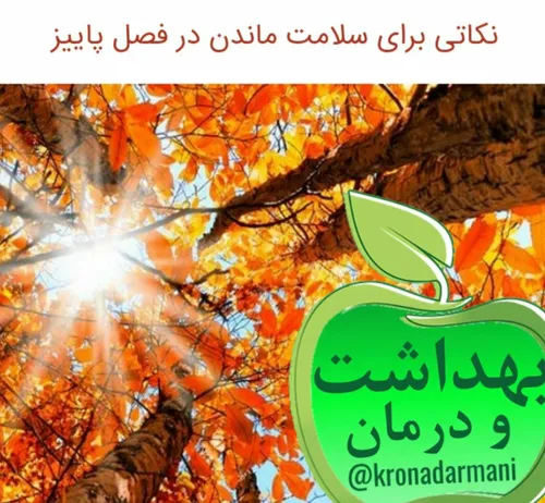 🔴نکاتی برای سلامت ماندن در فصل پاییز