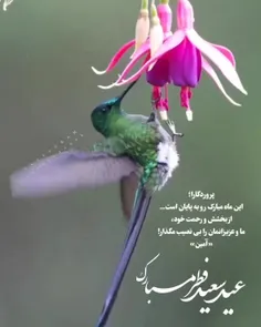 پروردگارا؛