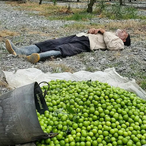 خیلی عکس باحالیه😄