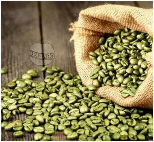 فواید قهوه سبز : این ماده به سوختن چربی در شکم و اطراف کم