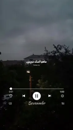 چه وایب جالبی میده✨:)..