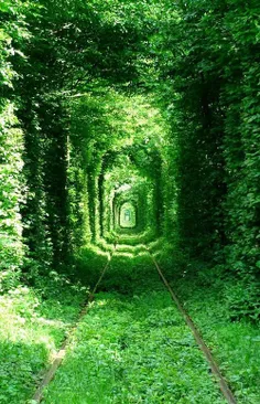جاذبه اصلی این شهر، تونل عشق (The Tunnel of Love) نام دار
