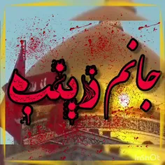 لبیک یا زینب