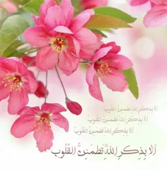 ✿❀ ﴾﷽﴿ ❀✿: