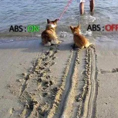 ABS ツ