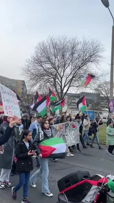 راهپیمایی برای فلسطین در جهان ادامه دارن