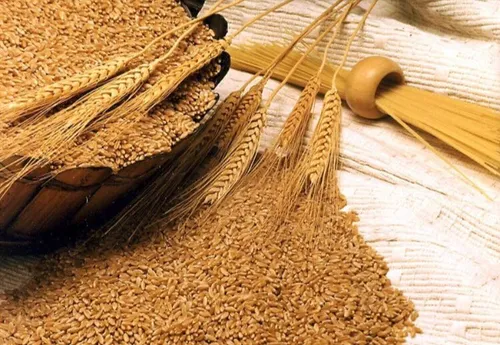 گندم بیش از همه منیزیم دارد وکمبود آن در بروز سرطان مؤثرا