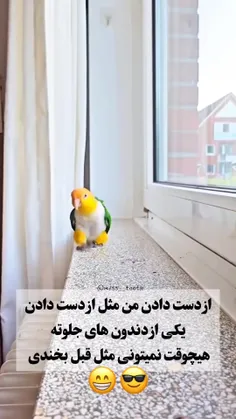 بی مخاطب...جون بابا فدای راه رفتنت نخوری زمین توتو...