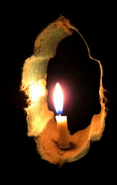 شمع روشن شد و پروانه در آتش گل کرد