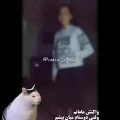 موافقی؟ 