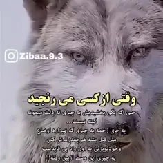 حقه حققق👍