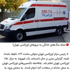 🔴حمله سگ‌های خانگی به نیروهای اورژانس تهران!