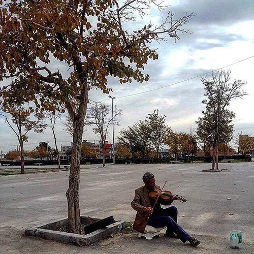 A man plays the violin at the courtyard of Ferdowsi (a hi