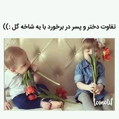 #خلاقیت#طنز