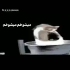 میشوخم میشوخم پهن میکنم