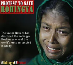 #Myanmar #Muslim #Genocide 