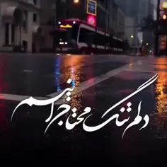 دلم تنگ....