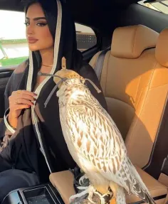 سالفة ورباط 