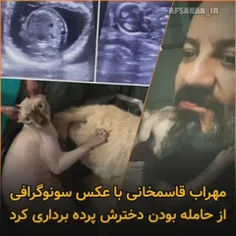 🔴 مهراب قاسم‌خانی با انتشار عکس گربه‌ی باردار خود، اعلام 