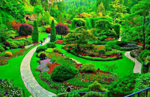 باغ جادویی در ونکور کانادا🤔 🤔 🤔