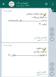 #سعید_فلاحی