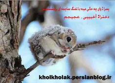 عزیزم نه گناه داره.!