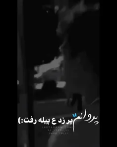 پروانم پر زد اع پیله رف! ... 🦋✨💔