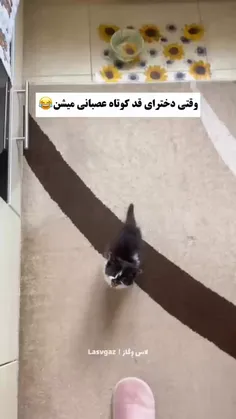 عه من!!