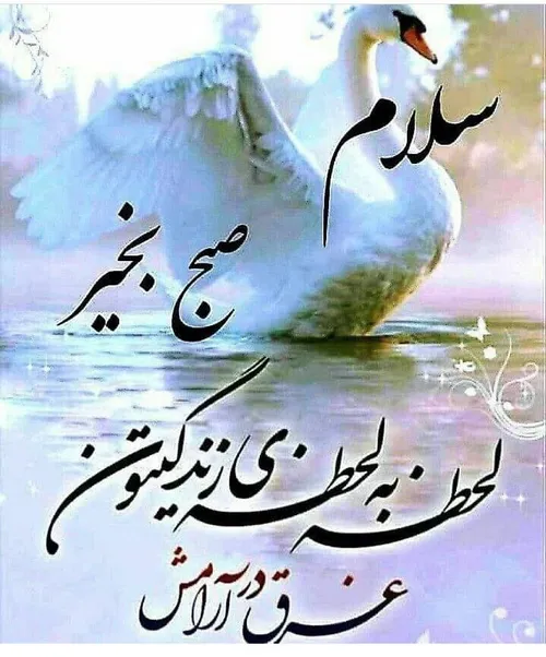 💙بسم الله الرحمن الرحیم💙