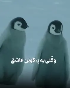 وقتی یه پنگوئن 